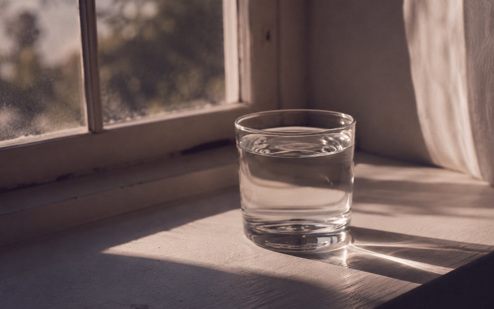感情に飲み込まれない:怒りと不安の整え方